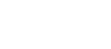 iFlex Logo